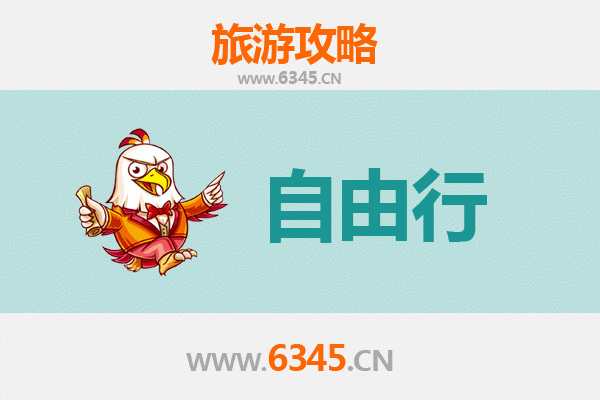 乐东尖峰镇自由行攻略：雨林探秘与黎族风情体验
